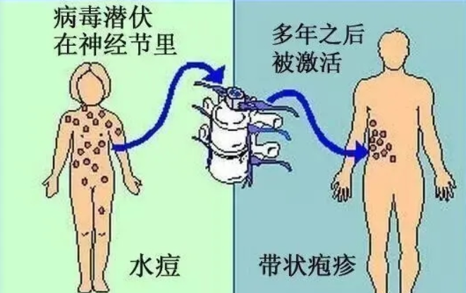 微信图片_20230209102813.png